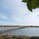 Tatil Evi Quinta Do And Golf Quinta do Lago