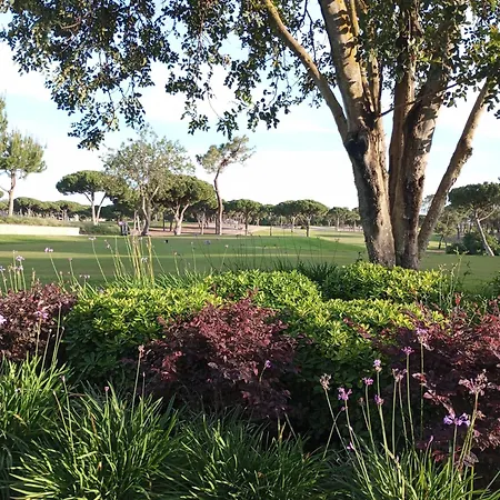 Quinta Do And Golf