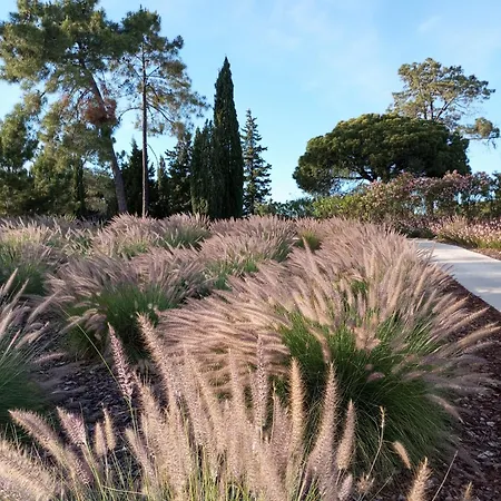 Quinta Do And Golf Quinta do Lago